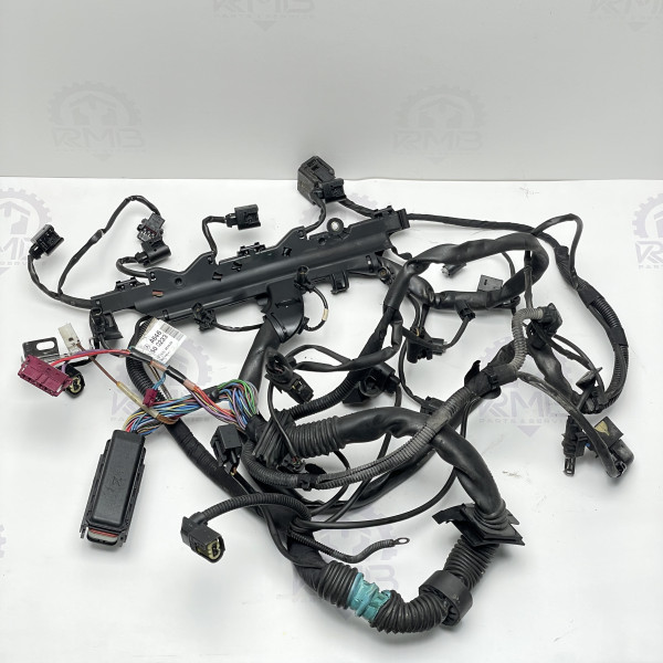 А6461500233 Проводка двигателя 2.2 OM 646 на Mercedes C-class W203 C220