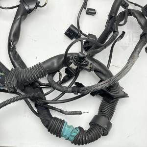  А6461500233 Проводка двигателя 2.2 OM 646 на Mercedes C-class W203 C220